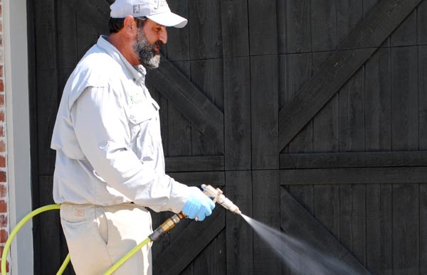 Why Professional Pest Control is a Game Changer for Your Home