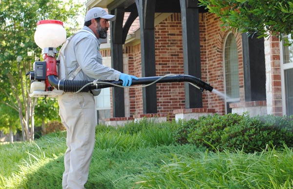 3 Reasons To Hire Pest Control For Mosquito Extermination