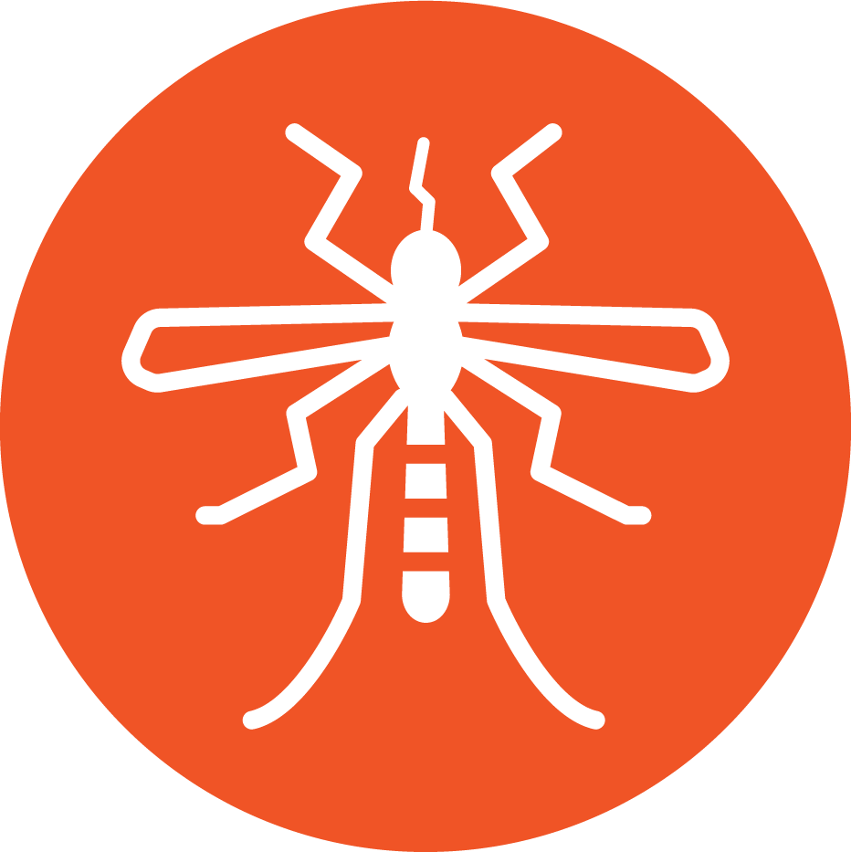 Pest-Control-Mosquitos