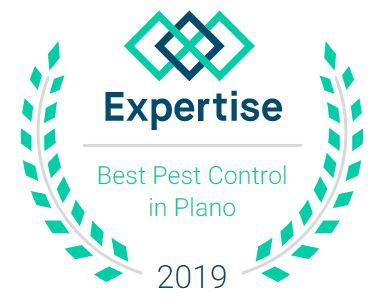 Home Run Pest Voted Top Pest Control Company in Plano, TX