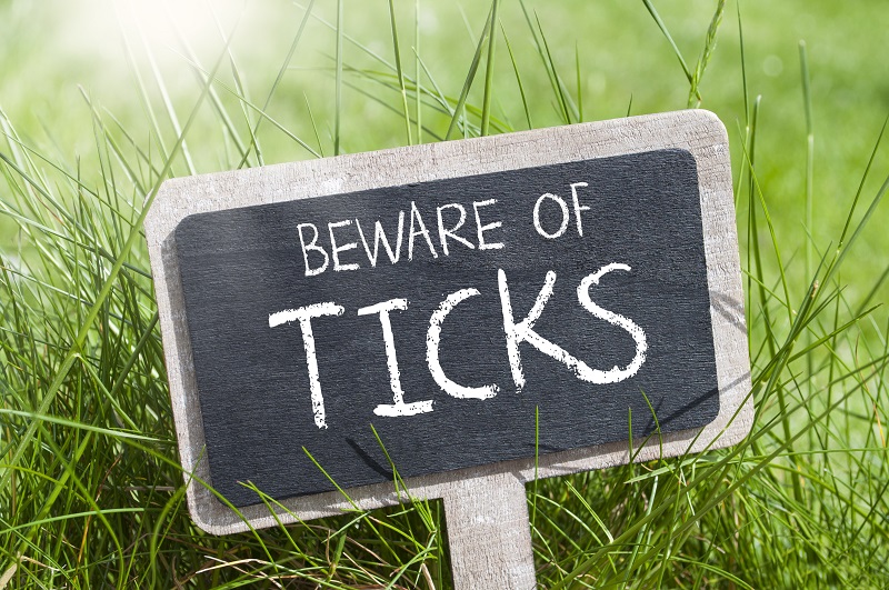 Tick Control Protection Plans