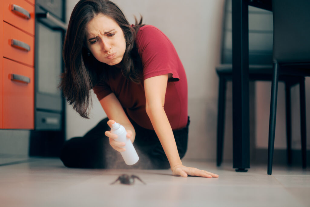 How Pest Control Can Protect Your Home From Spiders