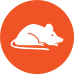 Pest-Control-Rodents