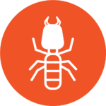 Pest-Control-Termites