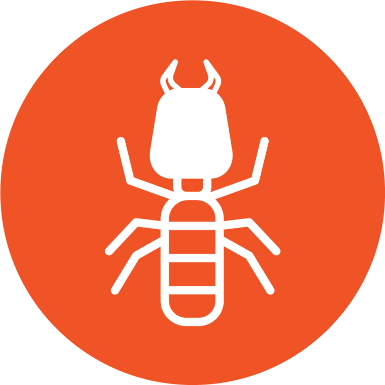 Home Run Pest & Termite Control Dallas Pest Control Services