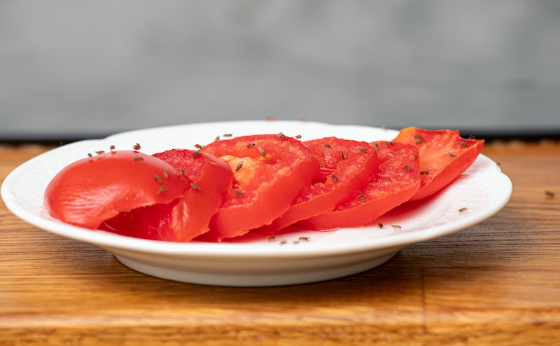 Why Fruit Flies Are Worse in Summer (And What to Do About It) Why Fruit Flies Are Worse in Summer (And What to Do About It)
