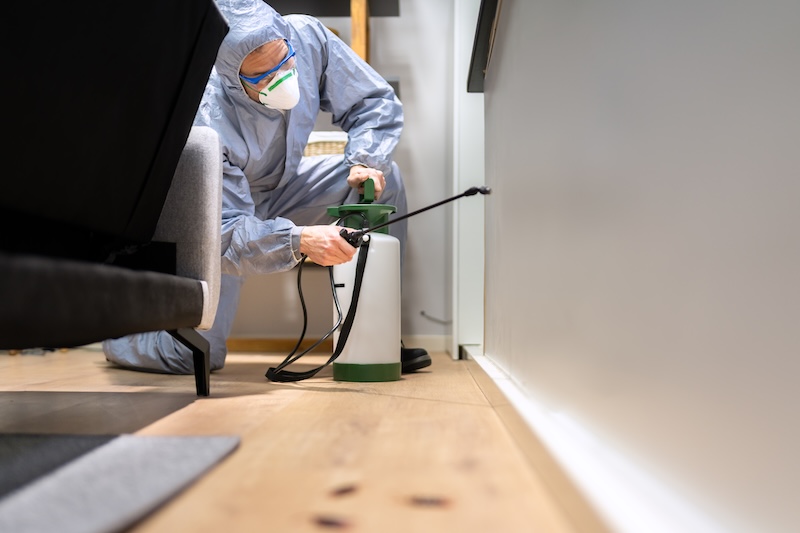 Finding Reliable Pest Control Services Nearby Finding Reliable Pest Control Services Nearby