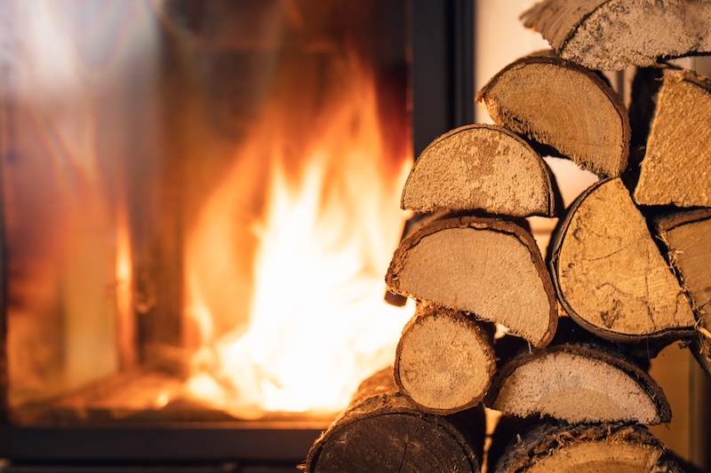 Firewood Safety: Why Storing Firewood Against Your House Invites Termites and Wood-Boring Beetles Firewood Safety: Why Storing Firewood Against Your House Invites Termites and Wood-Boring Beetles